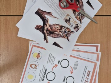 Relacja z Nocy Sów w Parku Krajobrazowym Wzniesień Łódzkich , 